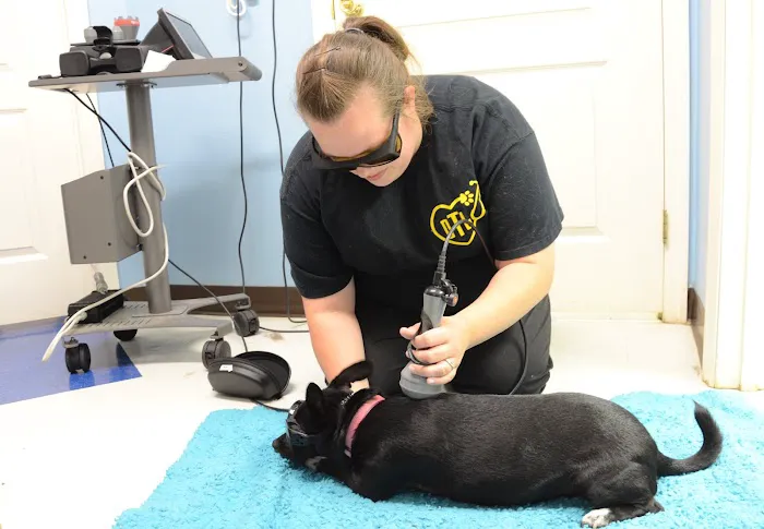 Beaver Creek Veterinary Hospital Picture 10