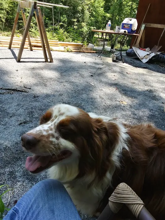 Chilhowee Veterinary Clinic Inc. Picture 4
