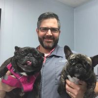Chilhowee Veterinary Clinic Inc. ico