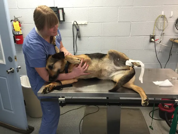 Chilhowee Veterinary Clinic Inc. Picture 5
