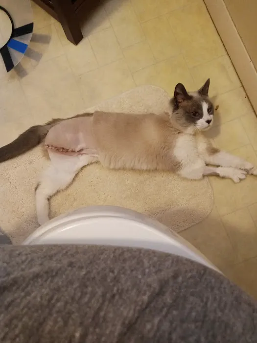 Maryville Animal Hospital Picture 8