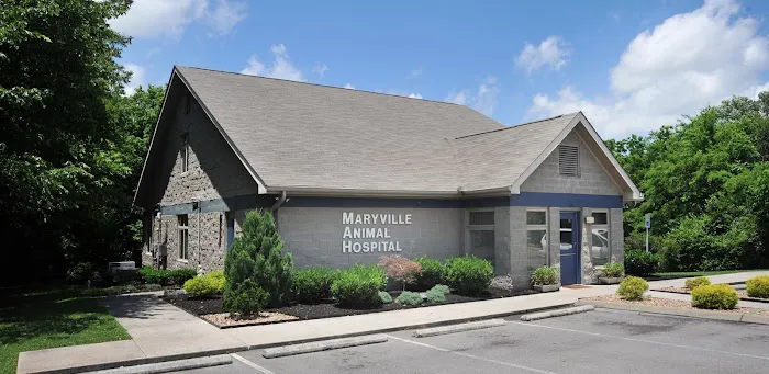 Maryville Animal Hospital Picture 7