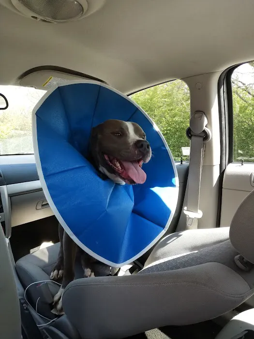 Maryville Animal Hospital Picture 5