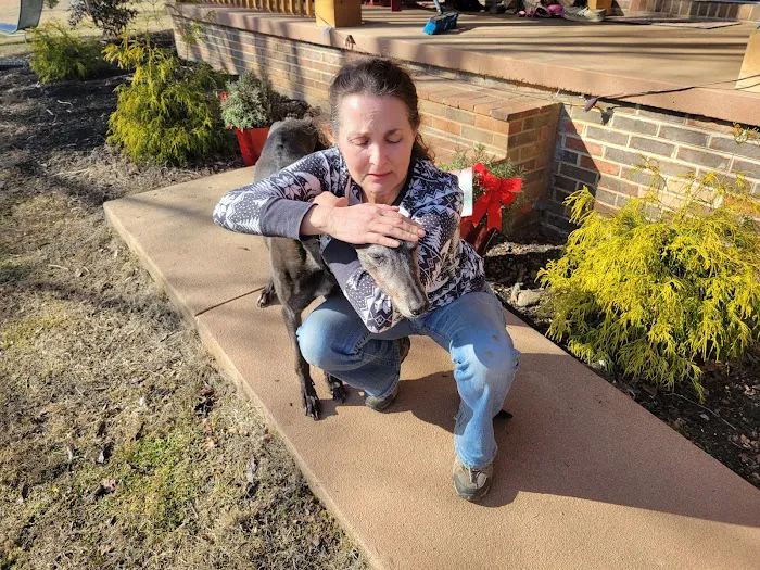 Maryville Small Animal Medical Center Picture 9