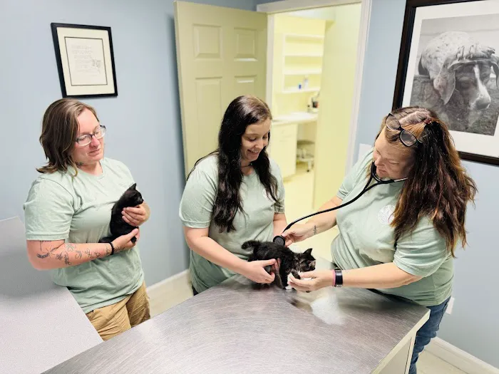 Coops Creek Veterinary Clinic Picture 1