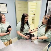 Coops Creek Veterinary Clinic ico