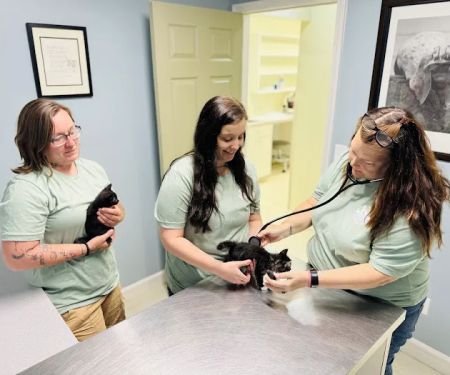 Coops Creek Veterinary Clinic