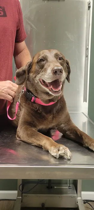 Dunlap Animal Clinic Picture 3
