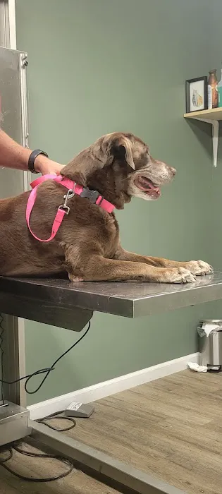 Dunlap Animal Clinic Picture 5