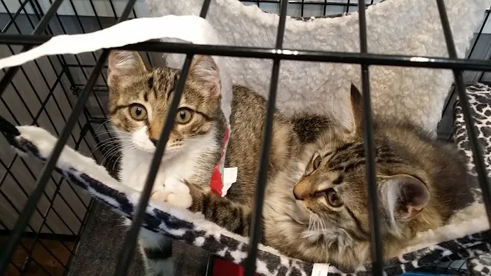 Middle Valley Animal Hospital Picture 3