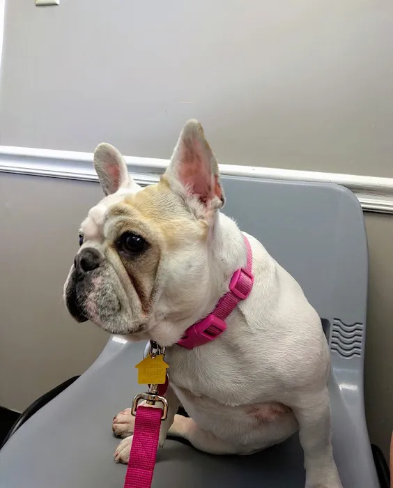 Middle Valley Animal Hospital Picture 6