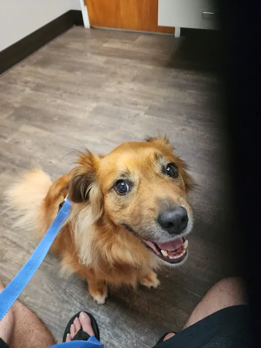 Middle Valley Animal Hospital Picture 5