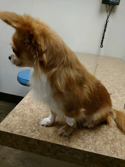 Middle Valley Animal Hospital Picture 9