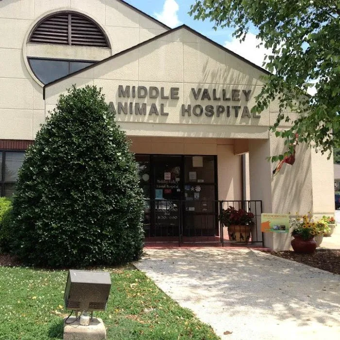 Middle Valley Animal Hospital Picture 7