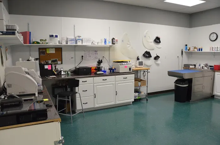 Hixson Pet Wellness Center: Denise Jones D.V.M. Picture 1