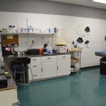 Hixson Pet Wellness Center: Denise Jones D.V.M.