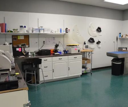 Hixson Pet Wellness Center: Denise Jones D.V.M.