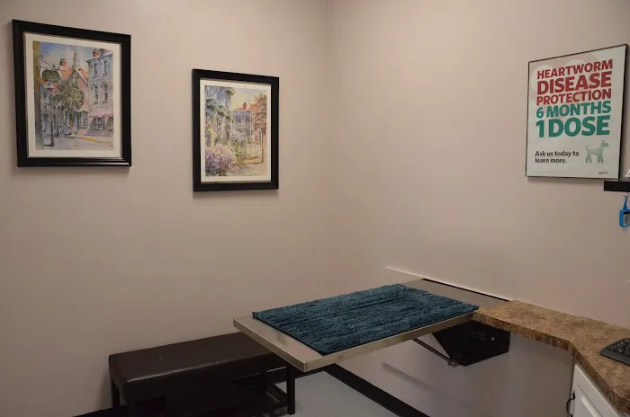 Hixson Pet Wellness Center: Denise Jones D.V.M. Picture 6