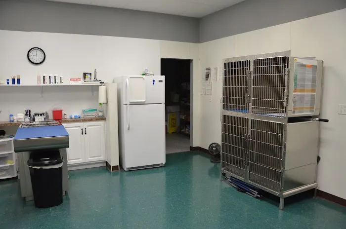 Hixson Pet Wellness Center: Denise Jones D.V.M. Picture 9