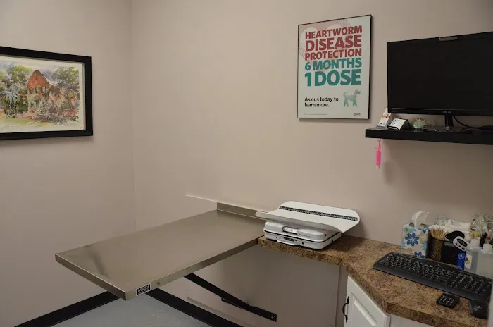 Hixson Pet Wellness Center: Denise Jones D.V.M. Picture 10