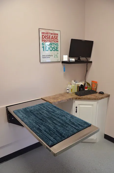 Hixson Pet Wellness Center: Denise Jones D.V.M. Picture 8