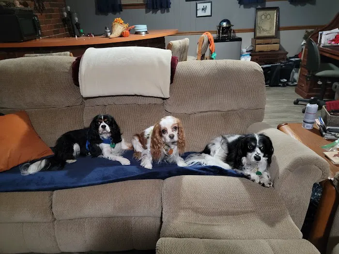 Northgate Animal Hospital Picture 4