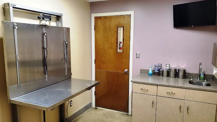 Northgate Animal Hospital Picture 2