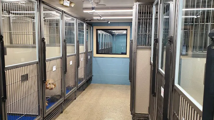 Northgate Animal Hospital Picture 9