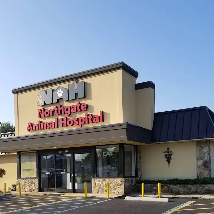 Northgate Animal Hospital Picture 5