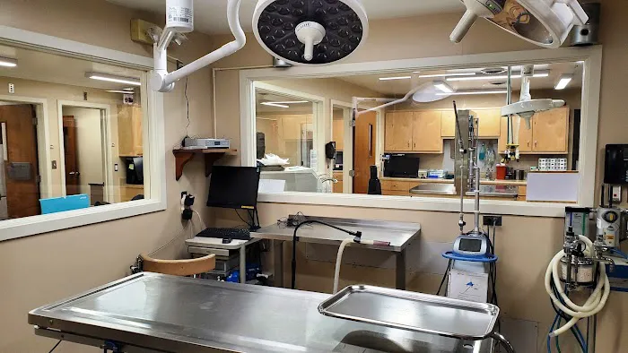 Northgate Animal Hospital Picture 7
