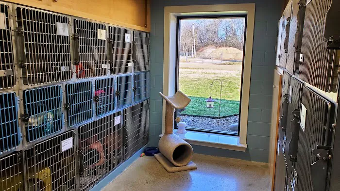 Northgate Animal Hospital Picture 8