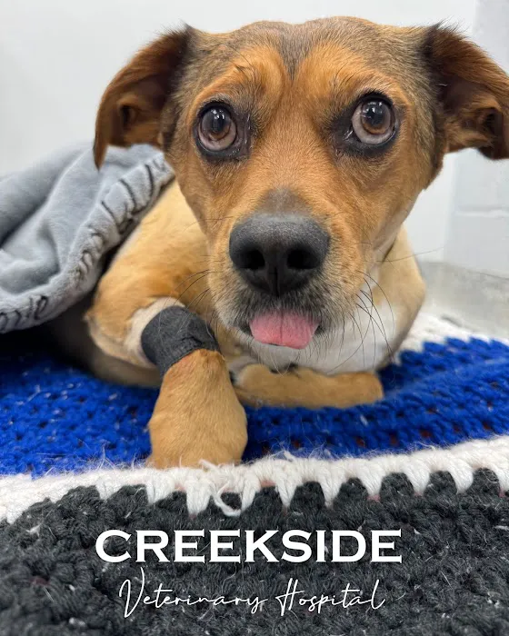 Creekside Veterinary Hospital Picture 5