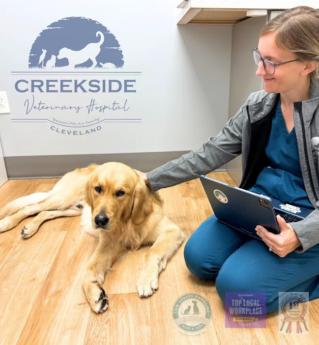 Creekside Veterinary Hospital Picture 8