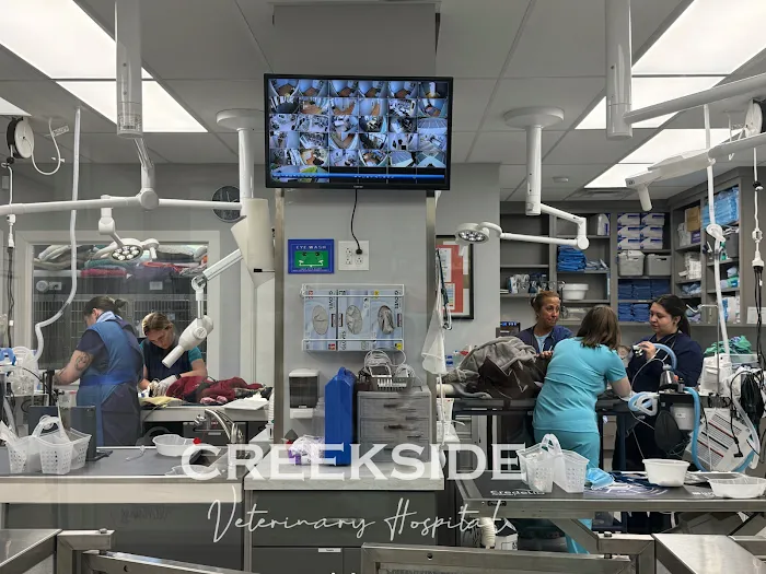 Creekside Veterinary Hospital Picture 9
