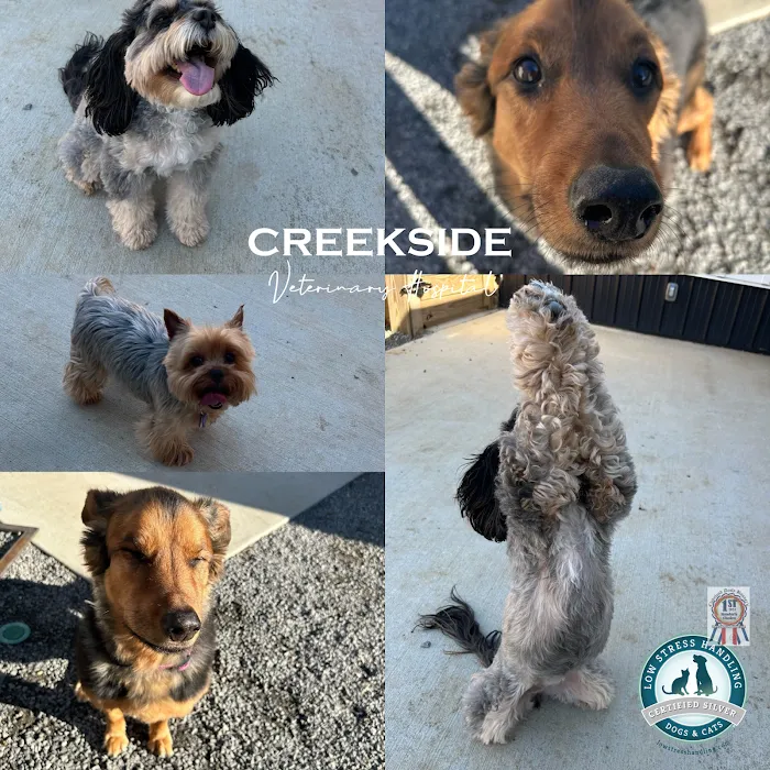 Creekside Veterinary Hospital Picture 10