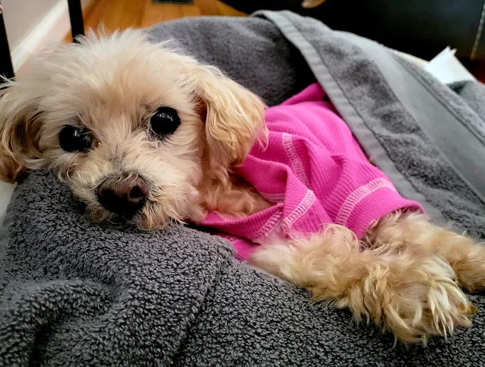 Taylor Animal Hospital Picture 4