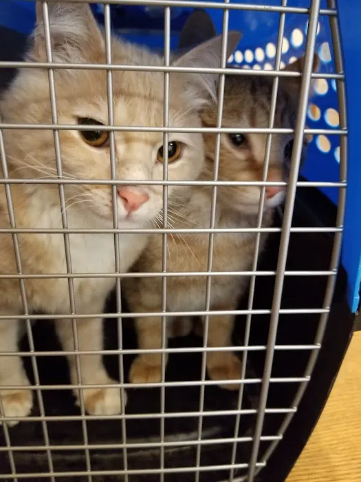 Taylor Animal Hospital Picture 7