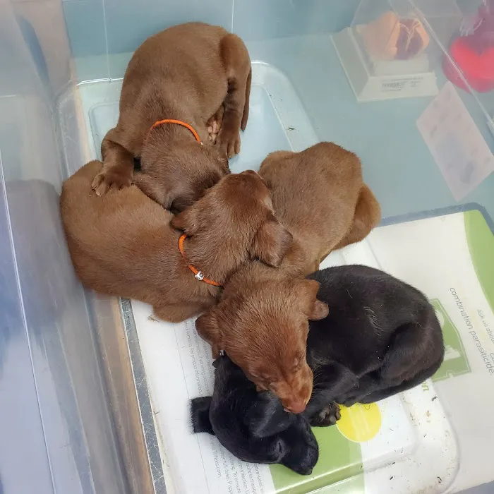 Animal Medical Center Picture 2
