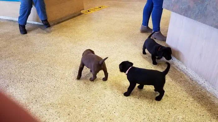 Animal Medical Center Picture 1
