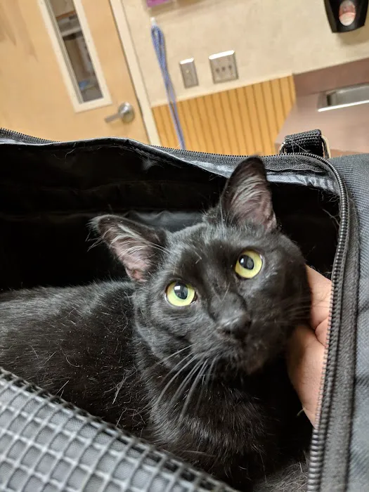 Animal Medical Center Picture 5