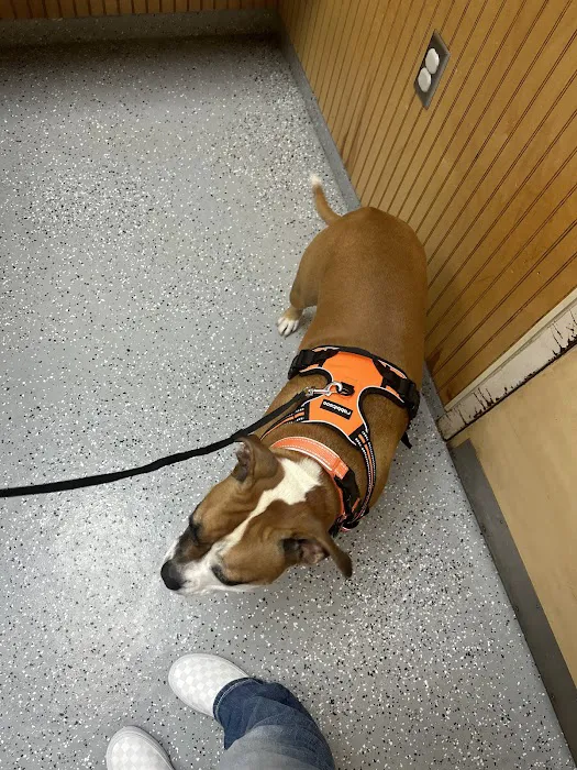Animal Medical Center Picture 6