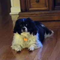 Keith Street Animal Clinic ico