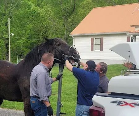 Equine Medical Center-Cleveland