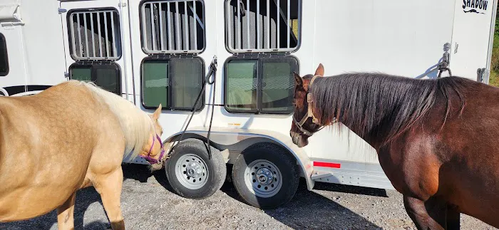 Equine Medical Center-Cleveland Picture 4