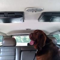 Mecca Pike Animal Hospital ico