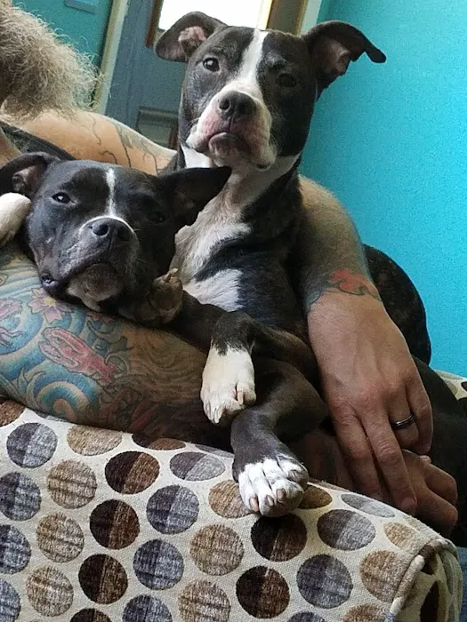 Grace Veterinary Clinic Picture 4