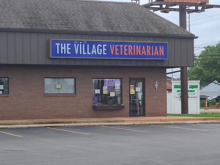 The Village Veterinarian Picture 1