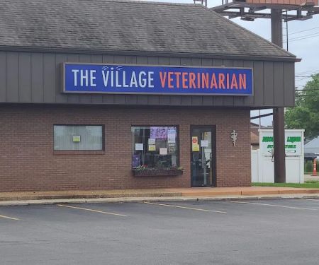 The Village Veterinarian