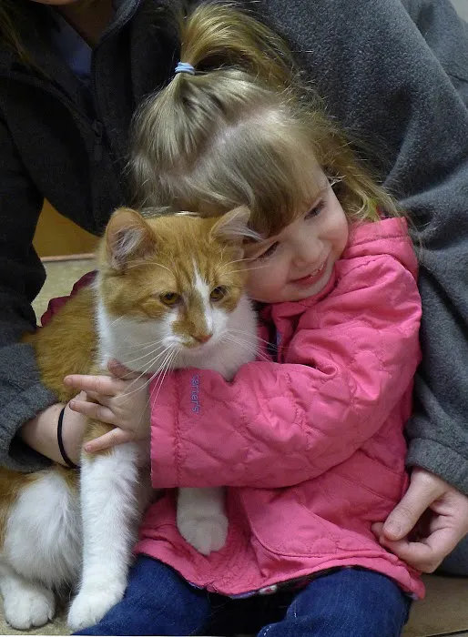 The Village Veterinarian Picture 6