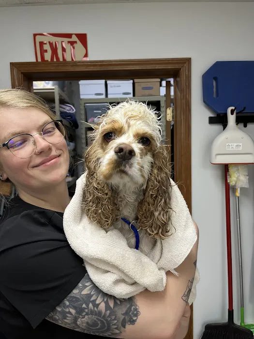 The Village Veterinarian Picture 7